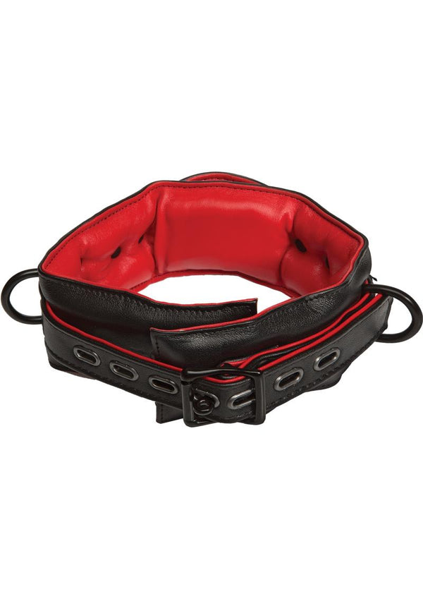 Kink Leather Handler'S Padded Collar - Black And Red