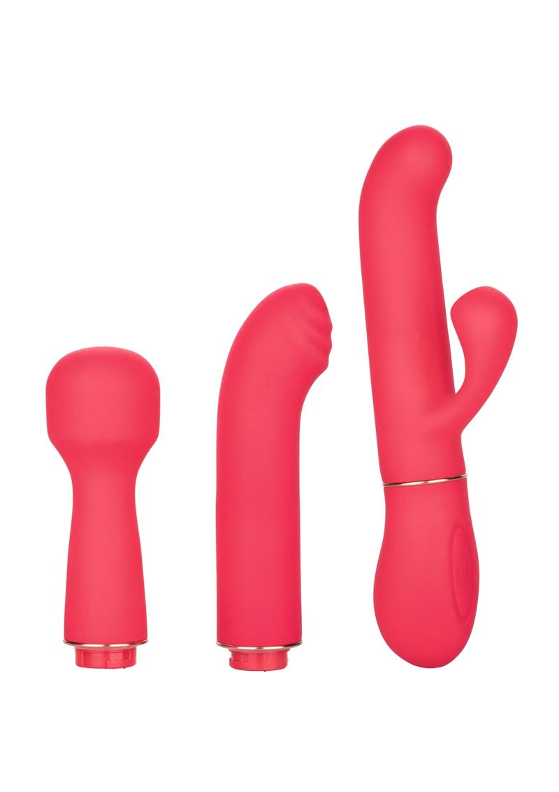 In Touch Passion Trio Multi-Head Interchangeable Massager Silicone Waterproof Set Pink